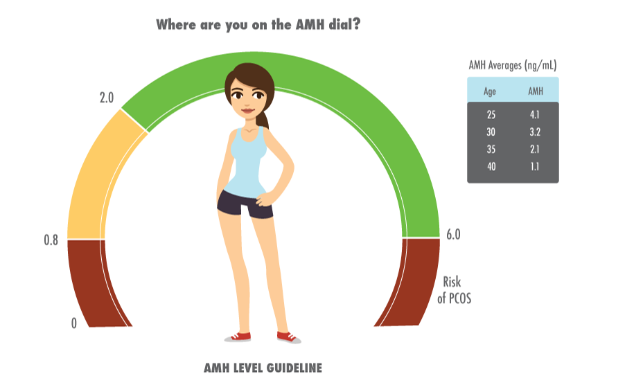 AMH：定制你的试管专属方案