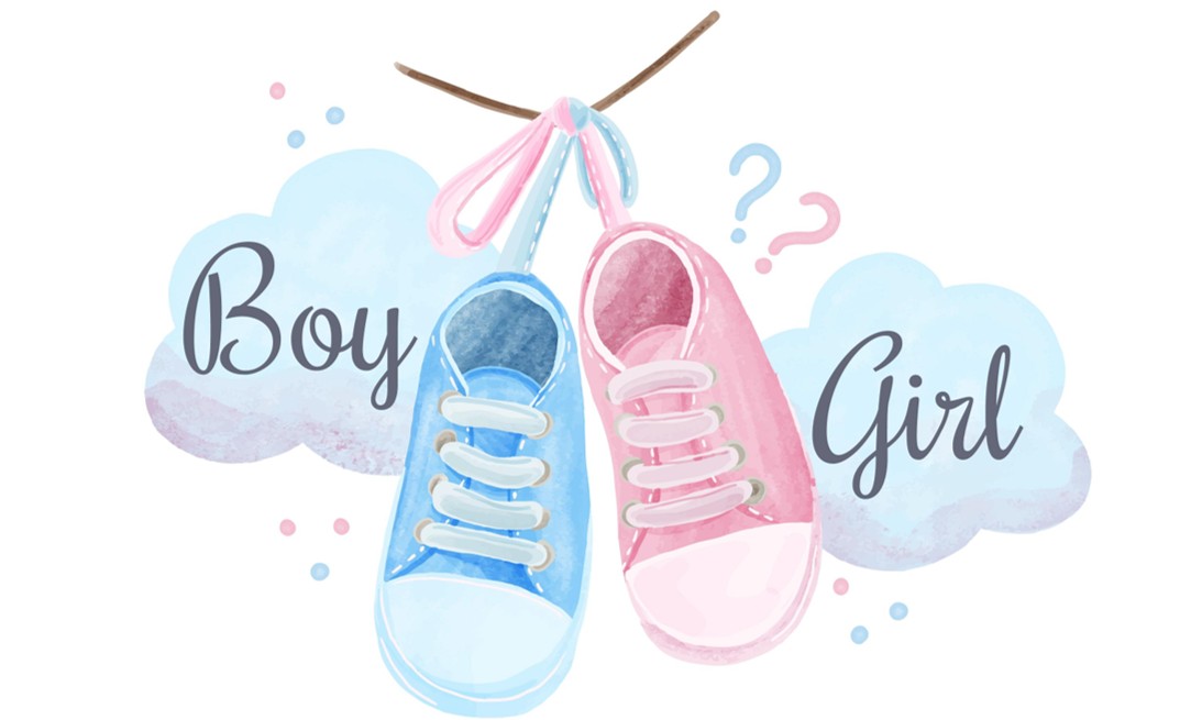 生男生女有套路？科学发现不随机