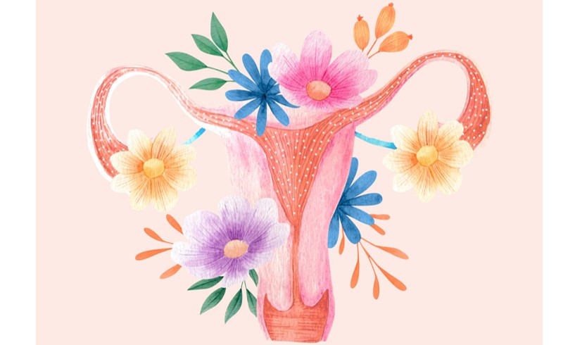 卵巢的血供足了，功能才能“在线”