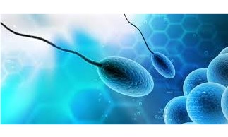 想靠抗氧化补剂提升男性生育力？