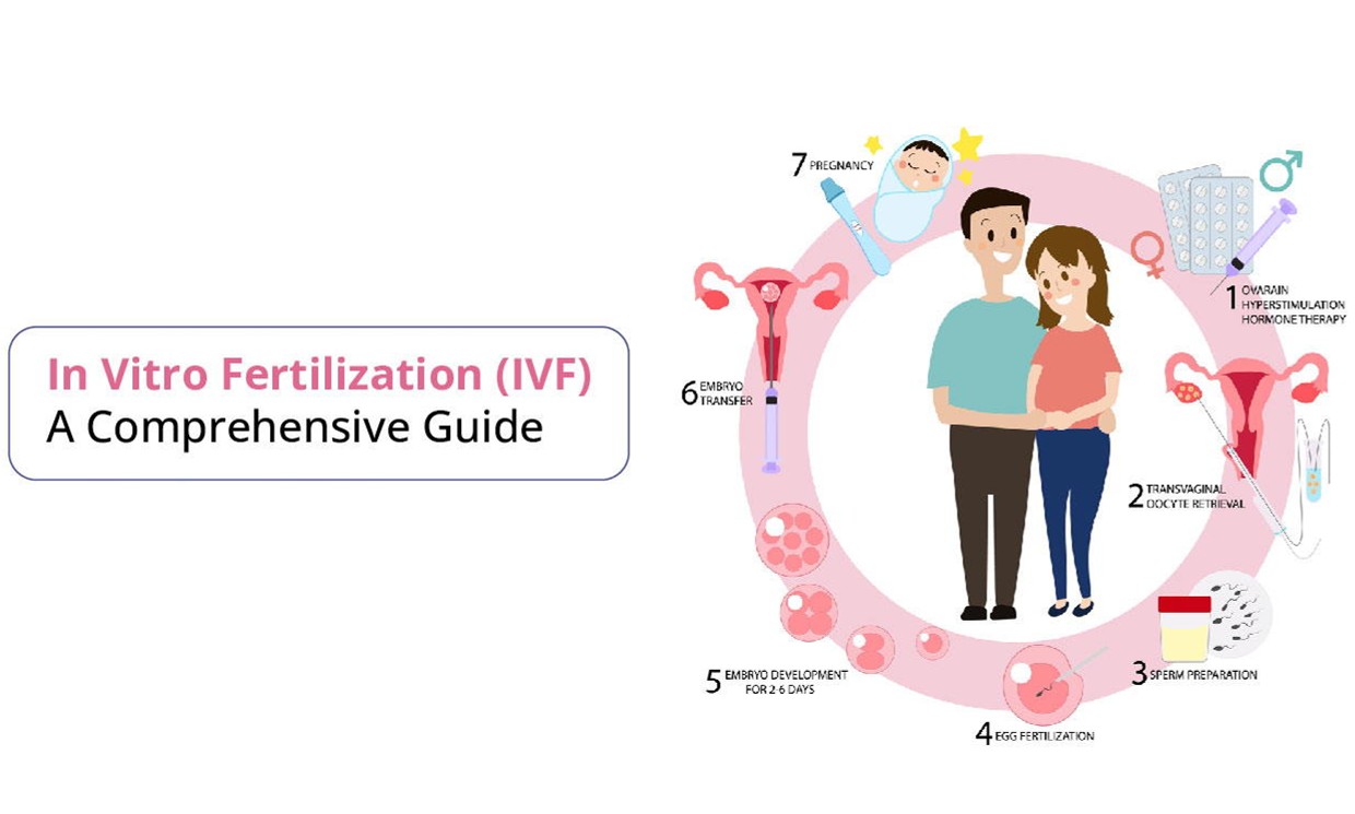 试管备孕：卵巢保养指南