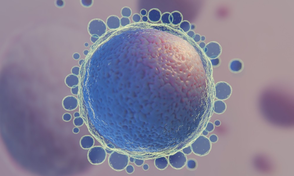 接地气养卵指南：日常方法轻松做