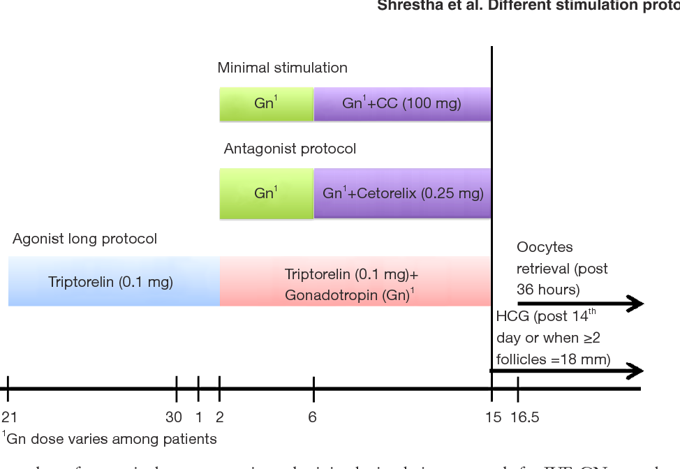 吉尔吉斯斯坦试管婴儿：4种主流促排方案