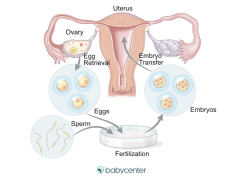 IVF 备孕避坑指南：做好这5点助好孕